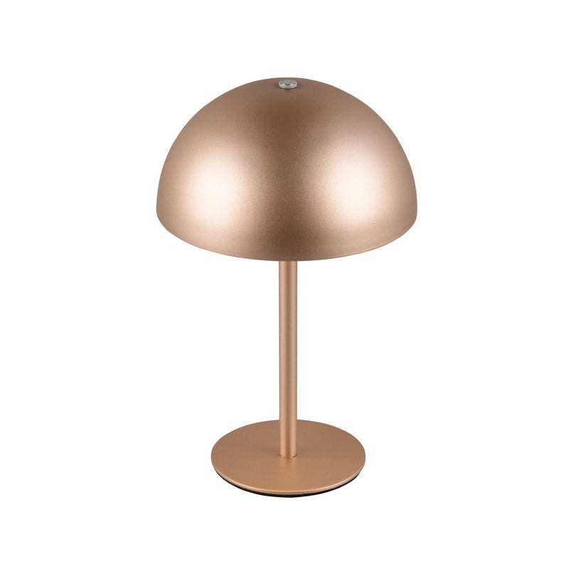 Lampa stołowa LED MUNOZ kawowa 1.3W ciepła 120lm metal wym:21x13x13cm IP20 RL