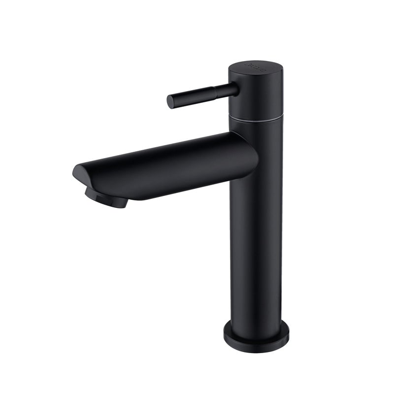 Bateria do umywalki tylko zimna woda, bateria łazienkowa zimna woda do WC, armatura z wylewką o wysokości 100 mm, matowa czerń ze stali nierdzewnej