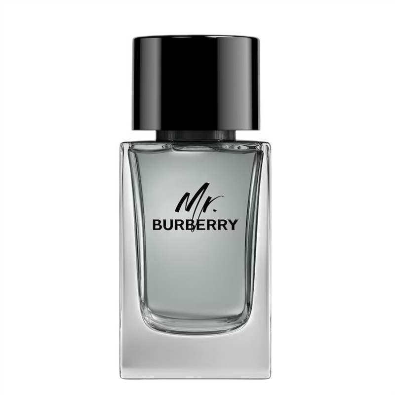 Burberry Mr. Burberry woda toaletowa spray 100ml -