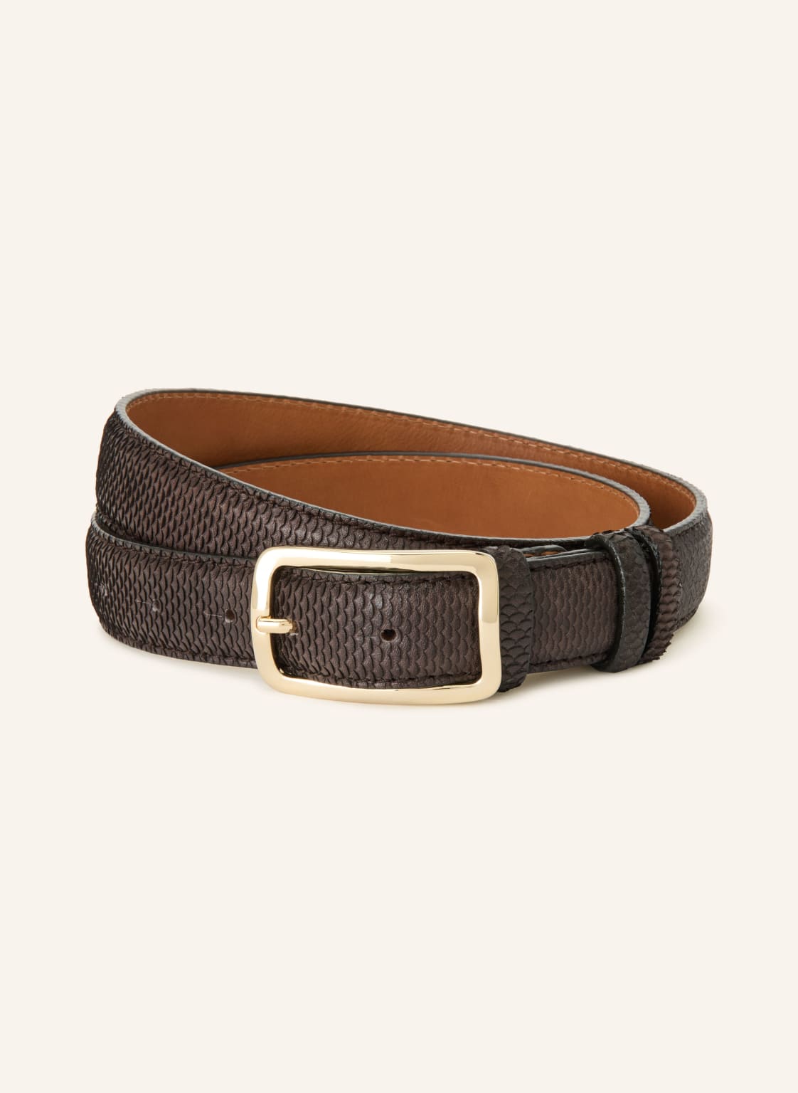 Reptile's House Pasek Blind braun