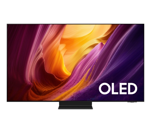Samsung QE65S95HFT 65