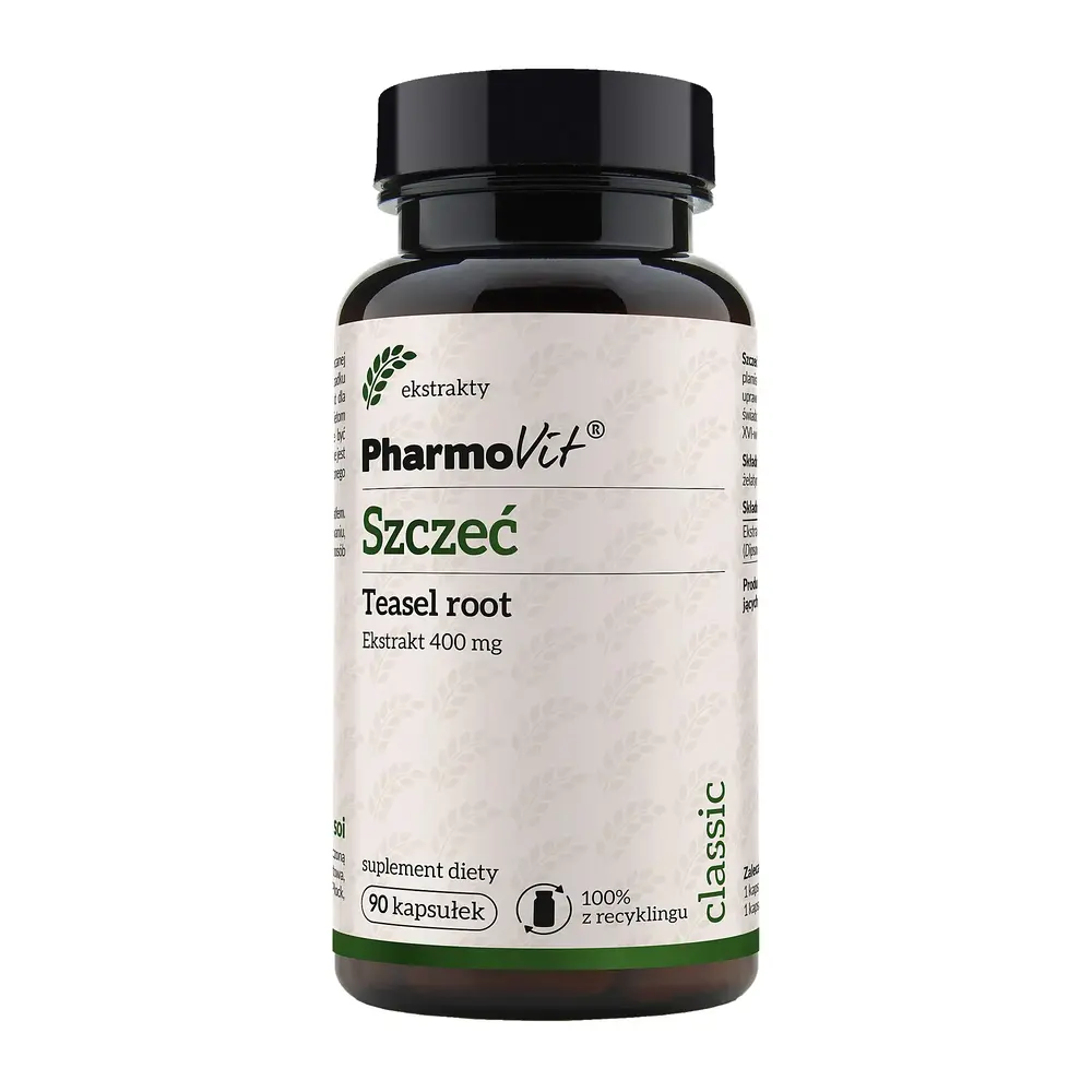Szczeć Teasel root ekstrakt 400mg 90 kapsułek PharmoVit