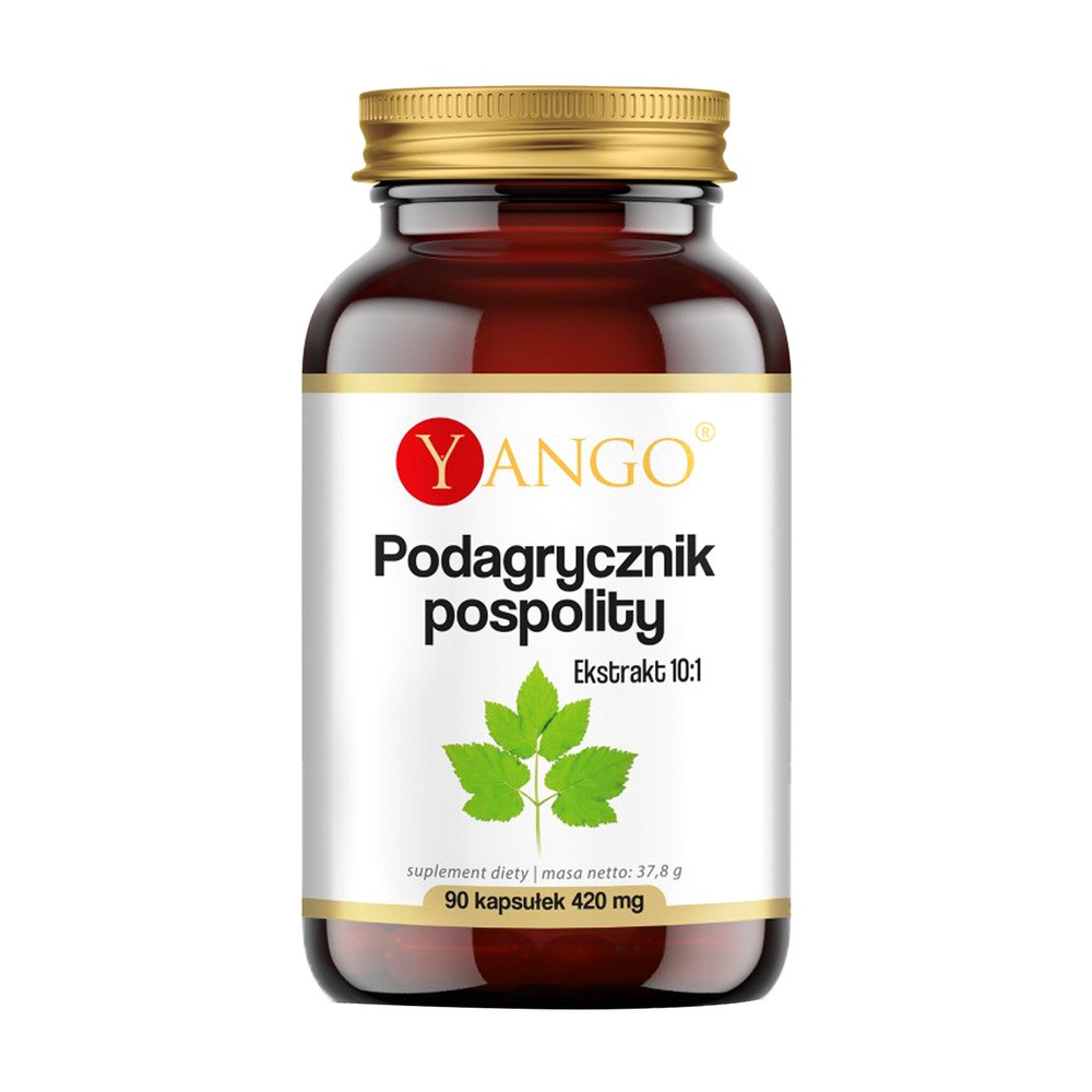 YANGO Yango Podagrycznik pospolity 90 k YA0206