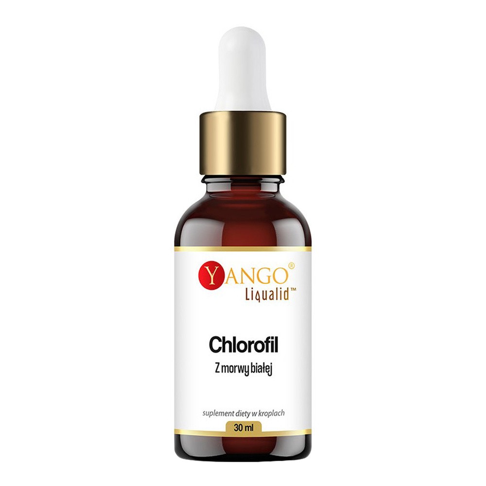 Yango Chlorofil z morwy białej w kroplach Suplement diety 30 ml