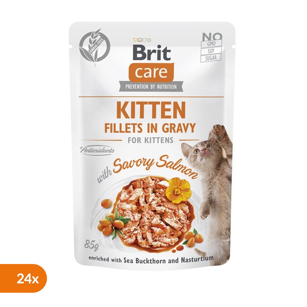 BRIT CARE Fillets in Gravy Pouch Kitten Savory Salmon 24x85g z łososiem dla kociąt
