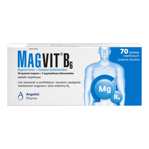 Magvit B6 48 mg + 5 mg, tabletki dojelitowe, 70 sztuk
