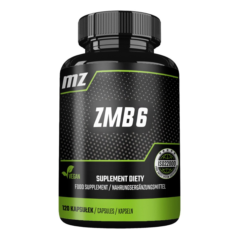 MZ-STORE ZMB6 MAGNEZ CYNK B6 120 KAPSUŁEK