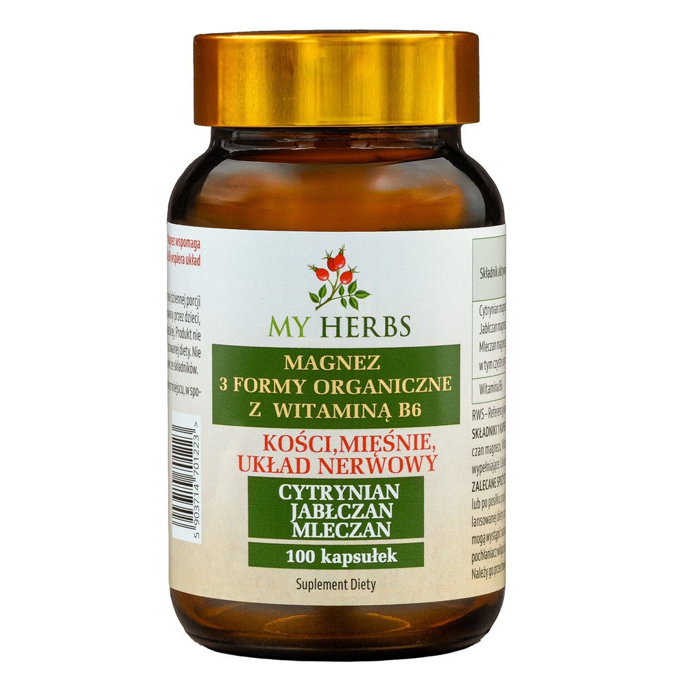 My Herbs Magnez 3 Formy Organiczne z Witaminą B6, kapsułki, 100 szt.