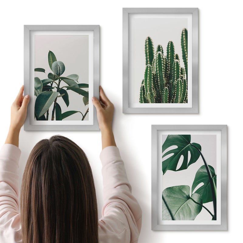 Galeria ścienna 3-częściowy komplet obrazów w srebrnych ramach - Tropikalne rośliny domowe estetyczne liście - ArtPrintCave