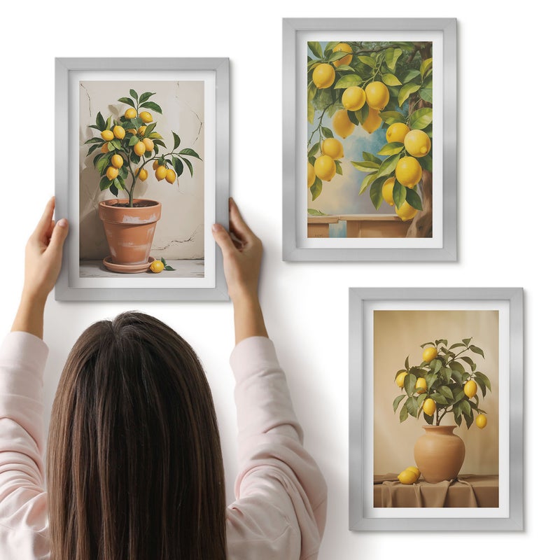Galeria ścienna 3-częściowy komplet obrazów w srebrnych ramach - Cytrynowe drzewka w doniczkach i wazonach - ArtPrintCave