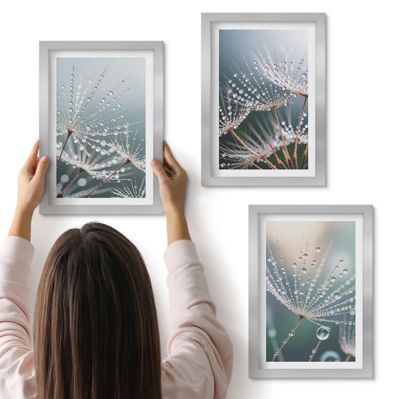 Galeria ścienna 3-częściowy komplet obrazów w srebrnych ramach - Krople wody na delikatnych pędach dmuchawców - ArtPrintCave