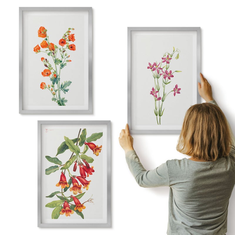 Galeria ścienna 3-częściowy komplet obrazów w srebrnych ramach - Malunek kwiatów w stylu vintage retro - ArtPrintCave