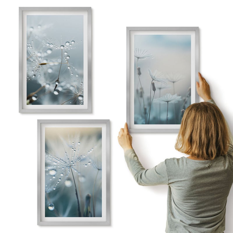 Galeria ścienna 3-częściowy komplet obrazów w srebrnych ramach - Krople rosy na delikatnych dmuchawcach - ArtPrintCave