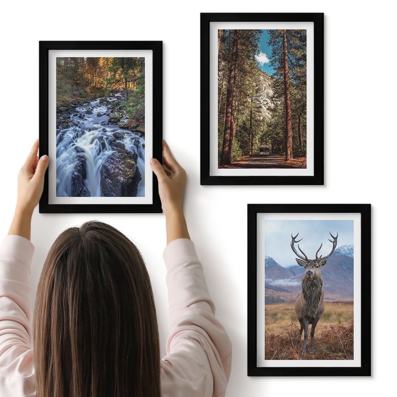 Galeria ścienna 3-częściowy komplet obrazów w czarnych ramach - Wodospad w lesie góry i jeleń w naturze - ArtPrintCave
