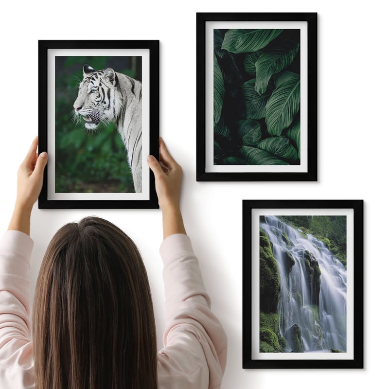 Galeria ścienna 3-częściowy komplet obrazów w czarnych ramach - Tygrys biały liście i wodospad w naturalnym otoczeniu - ArtPrintCave
