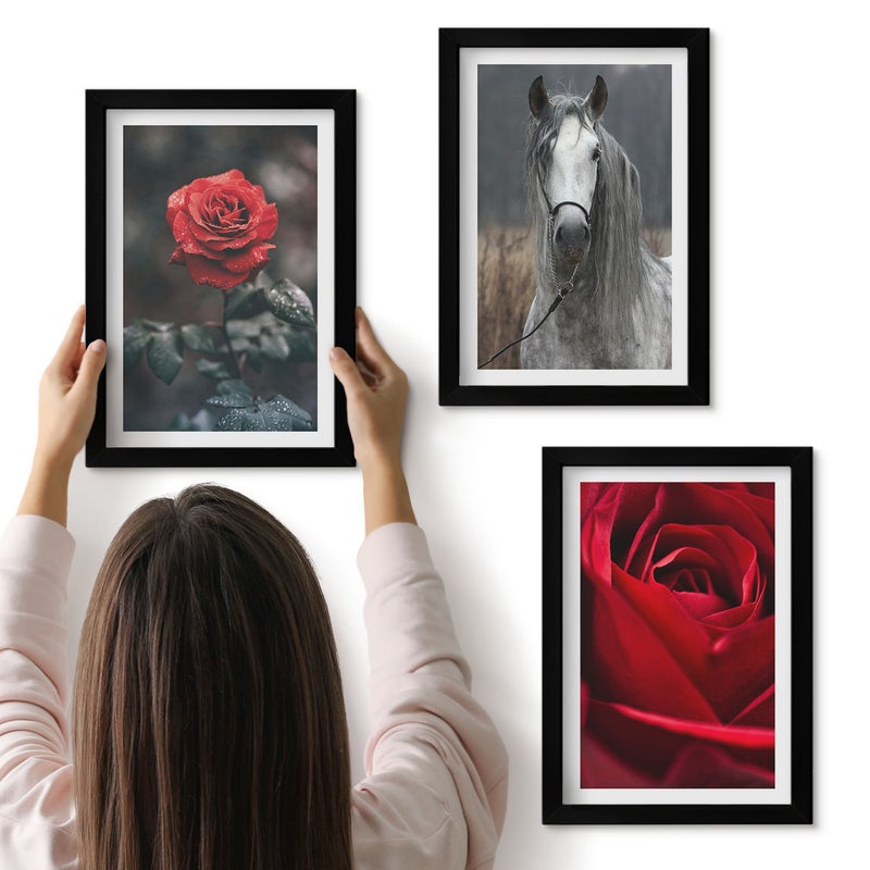 Galeria ścienna 3-częściowy komplet obrazów w czarnych ramach - Czerwone róże i koń w szarym otoczeniu - ArtPrintCave