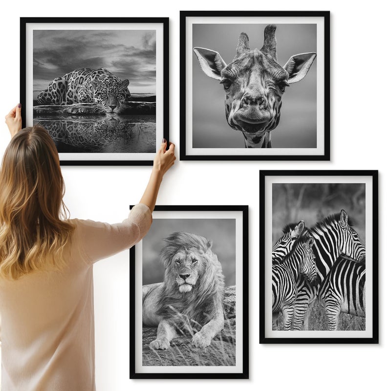 Galeria ścienna 4-częściowy komplet obrazów w czarnych ramach - Dzikie zwierzęta lew jaguar żyrafa i zebry - ArtPrintCave