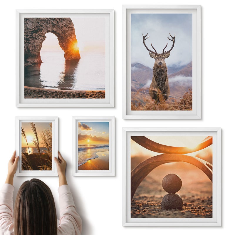 Galeria ścienna 5-częściowy komplet obrazów w białych ramach - Przyroda i dzikie zwierzęta w harmonijnym otoczeniu - ArtPrintCave