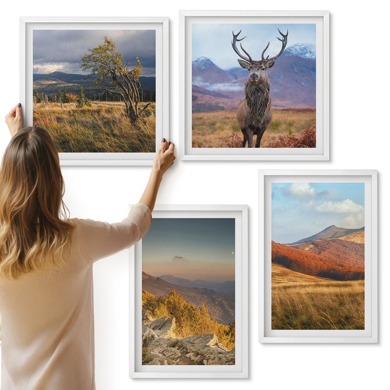Galeria ścienna 4-częściowy komplet obrazów w białych ramach - Górskie pejzaże natury góry jeleń trawy polany - ArtPrintCave