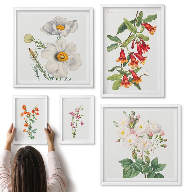 Galeria ścienna 5-częściowy komplet obrazów w białych ramach - Kwiatowe ilustracje w stylu botanicznym na białym tle - ArtPrintCave