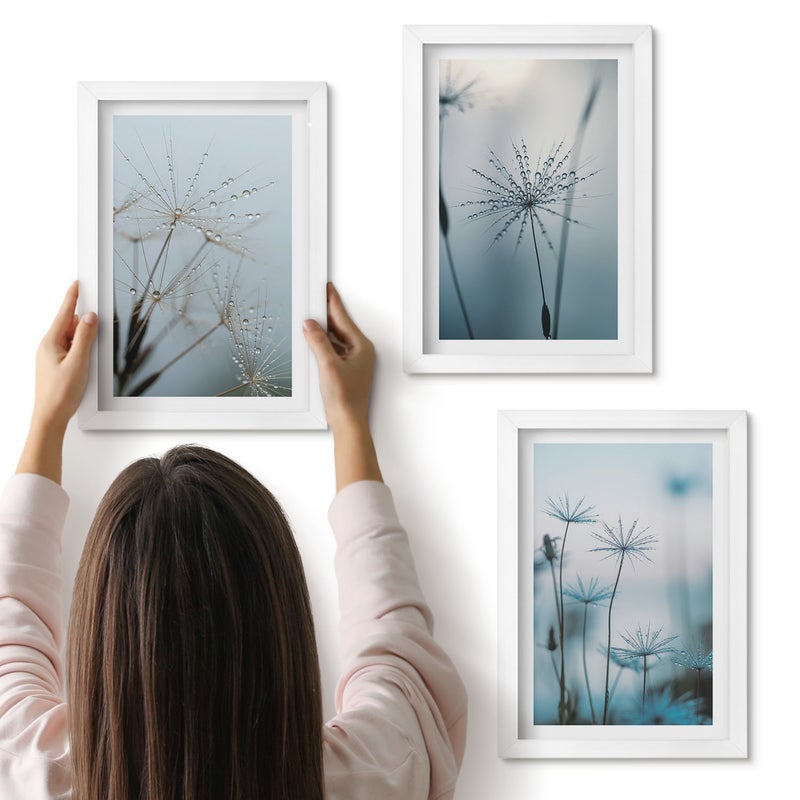 Galeria ścienna 3-częściowy komplet obrazów w białych ramach - Delikatne dmuchawce z kroplami wody - ArtPrintCave