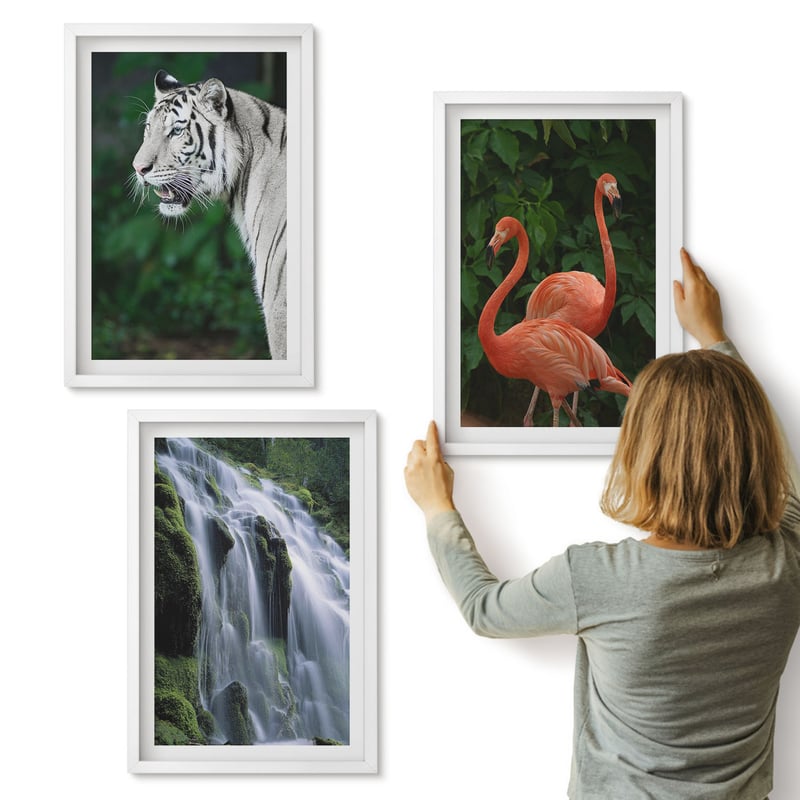 Galeria ścienna 3-częściowy komplet obrazów w białych ramach - Tygrys wodospad i różowe flamingi w naturze - ArtPrintCave