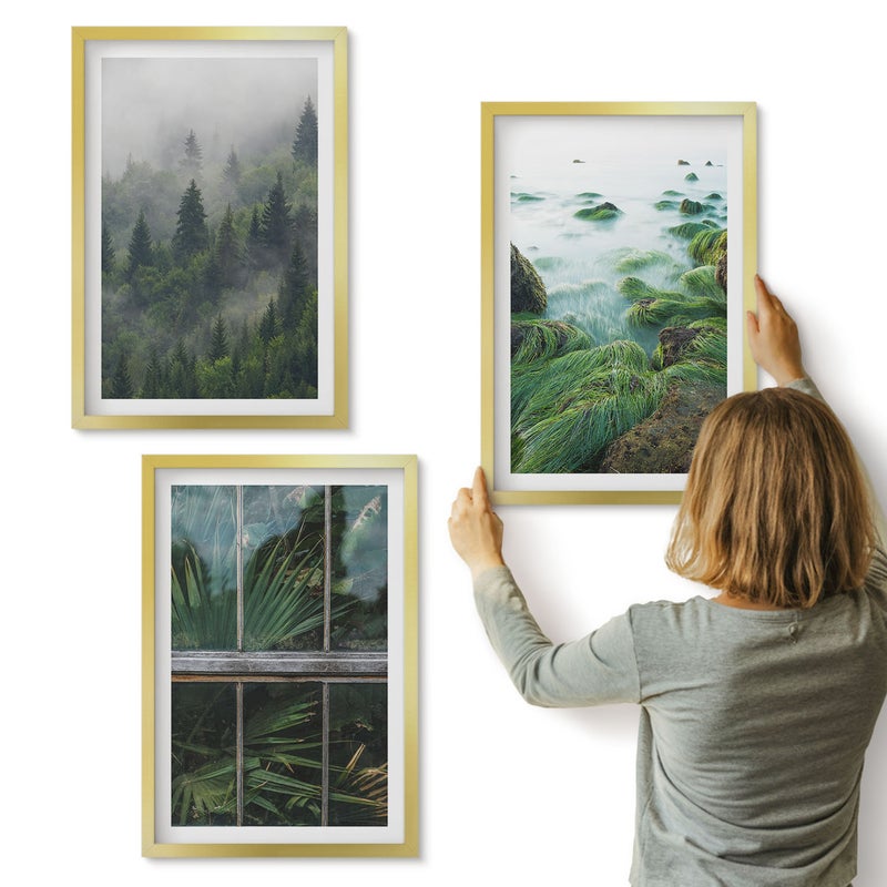 Galeria ścienna 3-częściowy komplet obrazów w złotych ramach - Las we mgle brzeg rzeki i szklarnia z roślinami - ArtPrintCave
