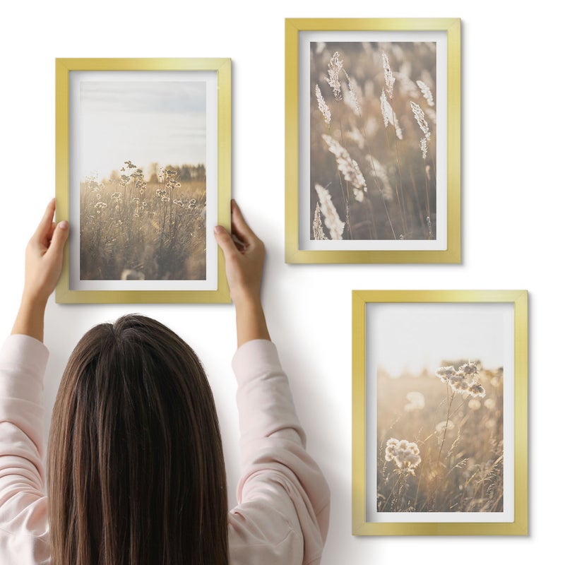 Galeria ścienna 3-częściowy komplet obrazów w złotych ramach - Krajobraz z trawami i kwiatami w ciepłych odcieniach - ArtPrintCave