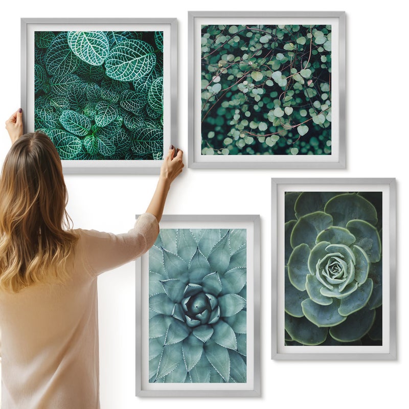 Galeria ścienna 4-częściowy komplet obrazów w srebrnych ramach - Rośliny sukulentowe w odcieniach zieleni i turkusu - ArtPrintCave