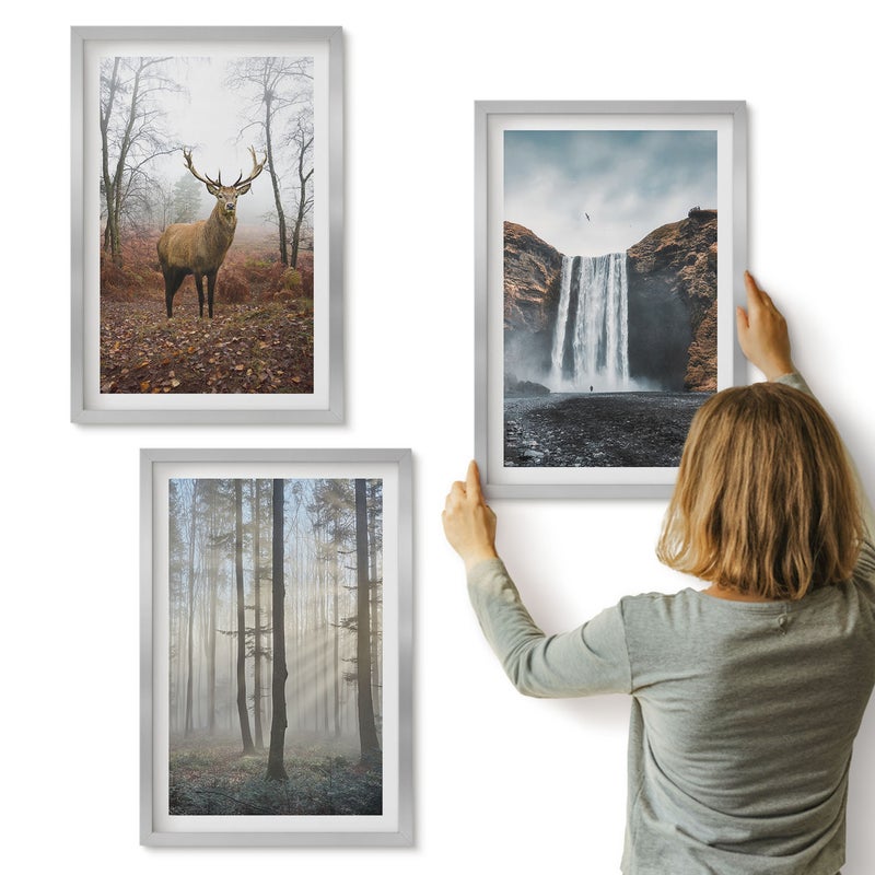 Galeria ścienna 3-częściowy komplet obrazów w srebrnych ramach - Leśne krajobrazy dzika natura jeleń - ArtPrintCave