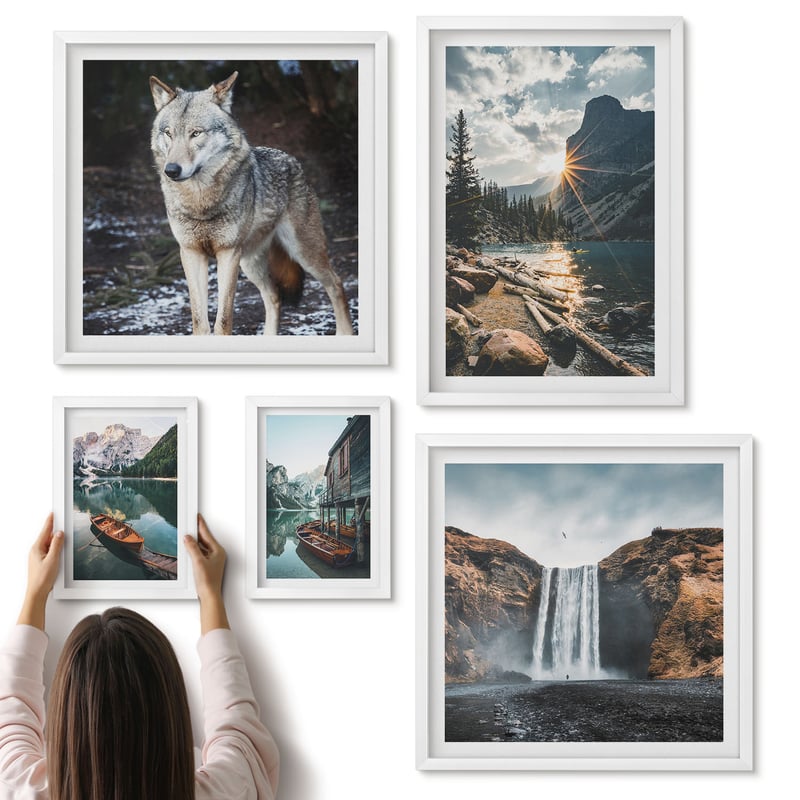 Galeria ścienna 5-częściowy komplet obrazów w białych ramach - Krajobrazy natury z dziką fauną i wodospadami - ArtPrintCave