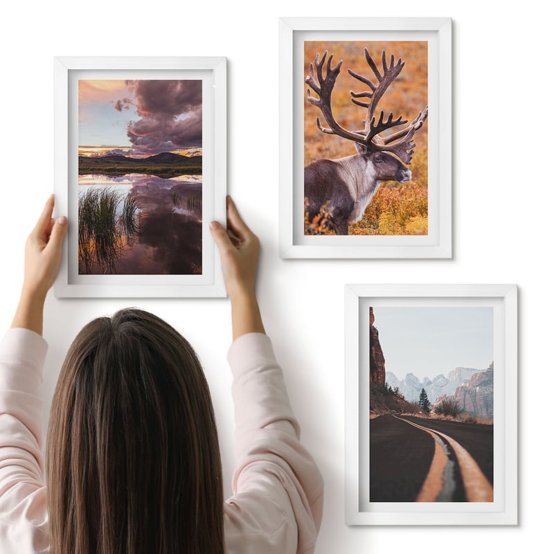 Galeria ścienna 3-częściowy komplet obrazów w białych ramach - Pejzaże górskie z reniferem i drogą w naturze - ArtPrintCave