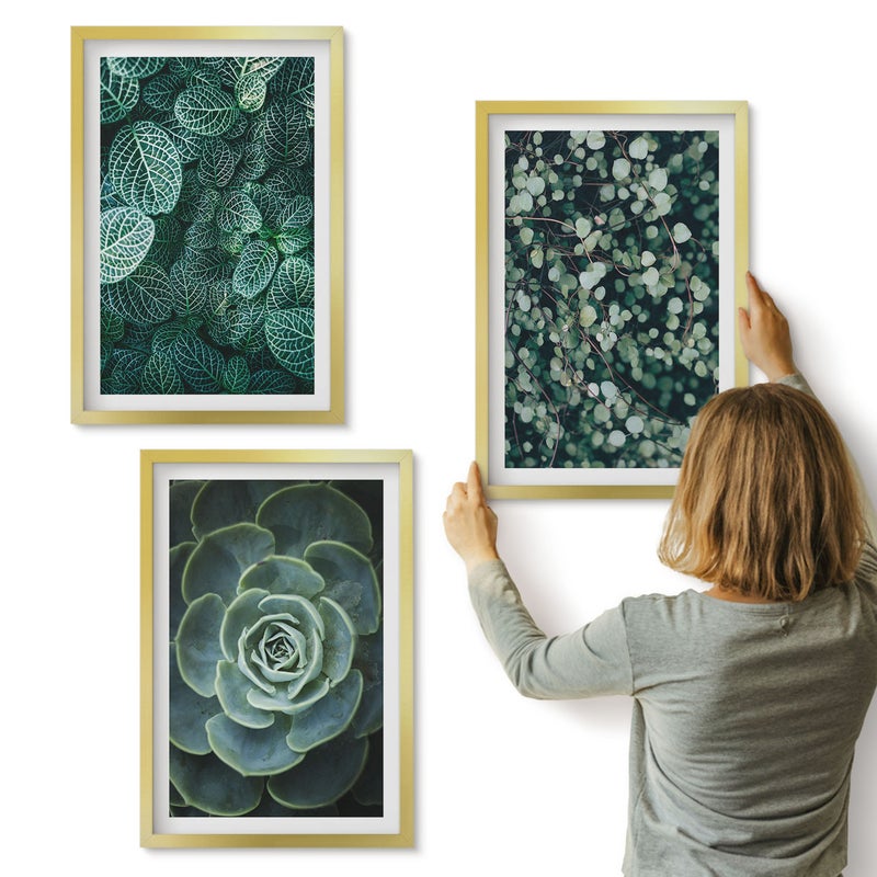 Galeria ścienna 3-częściowy komplet obrazów w złotych ramach - Zielone liście roślin sukulentów i delikatnych gałązek - ArtPrintCave