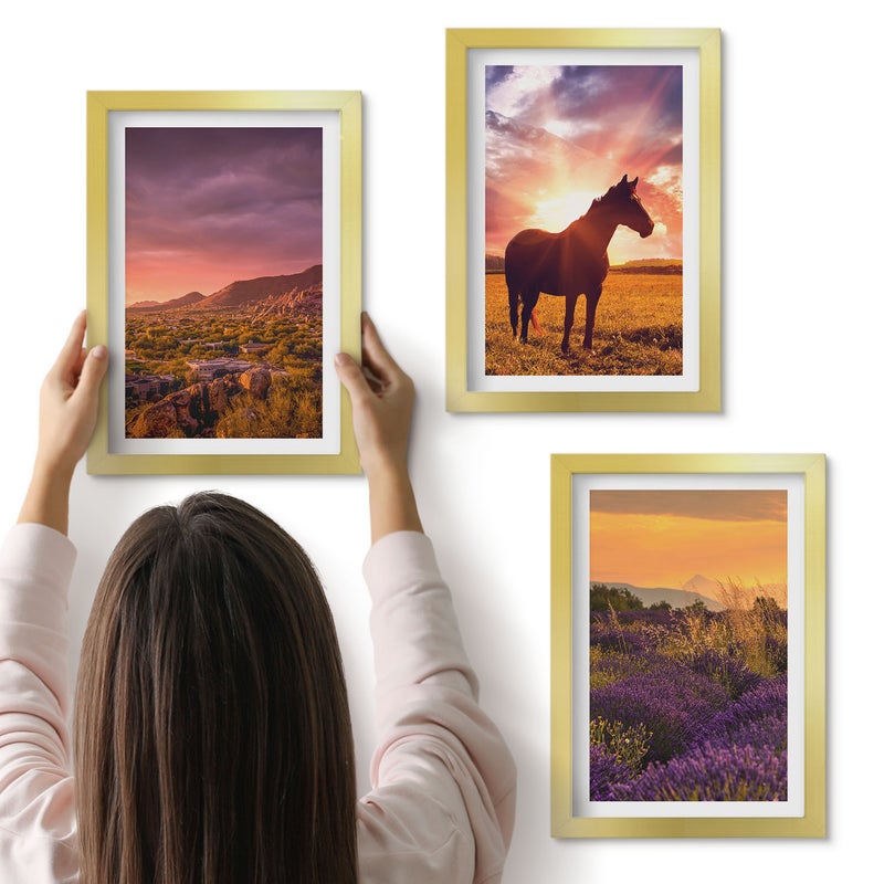 Galeria ścienna 3-częściowy komplet obrazów w złotych ramach - Krajobrazy górskie z koniem i polami lawendy - ArtPrintCave
