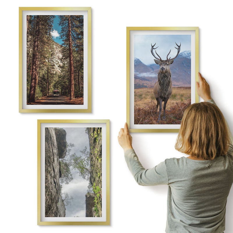 Galeria ścienna 3-częściowy komplet obrazów w złotych ramach - Droga w lesie góry i jeleń w naturze - ArtPrintCave