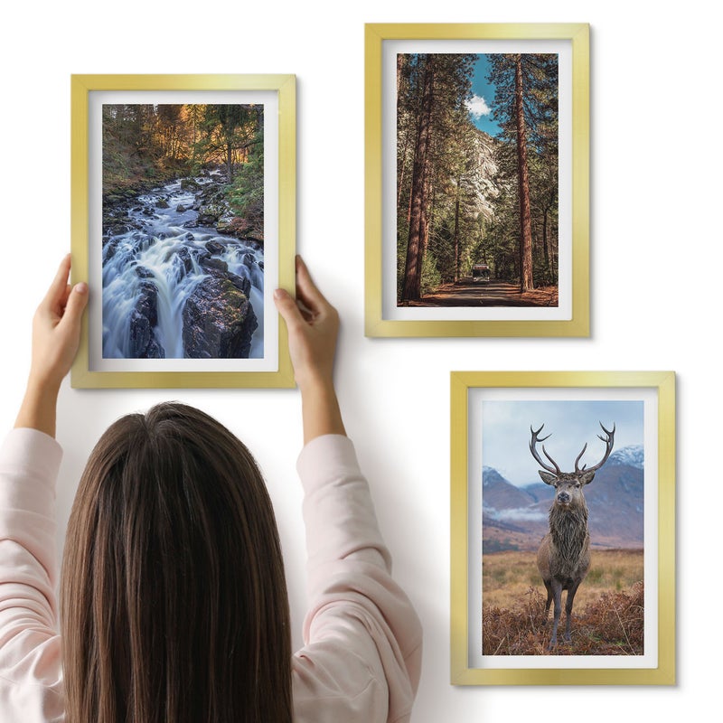 Galeria ścienna 3-częściowy komplet obrazów w złotych ramach - Wodospad w lesie góry i jeleń w naturze - ArtPrintCave
