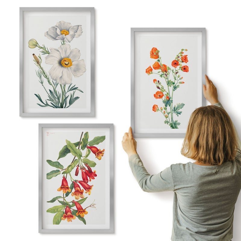 Galeria ścienna 3-częściowy komplet obrazów w srebrnych ramach - Kwiatowe kompozycje retro vintage malarstwo - ArtPrintCave