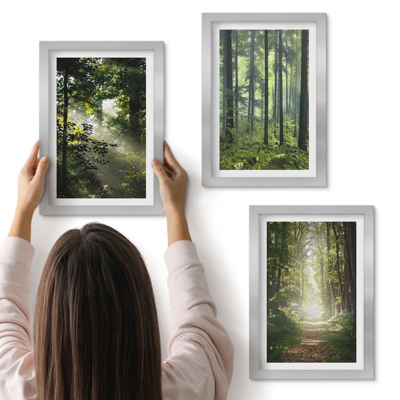 Galeria ścienna 3-częściowy komplet obrazów w srebrnych ramach - Zielone lasy z promieniami światła i leśną ścieżką - ArtPrintCave