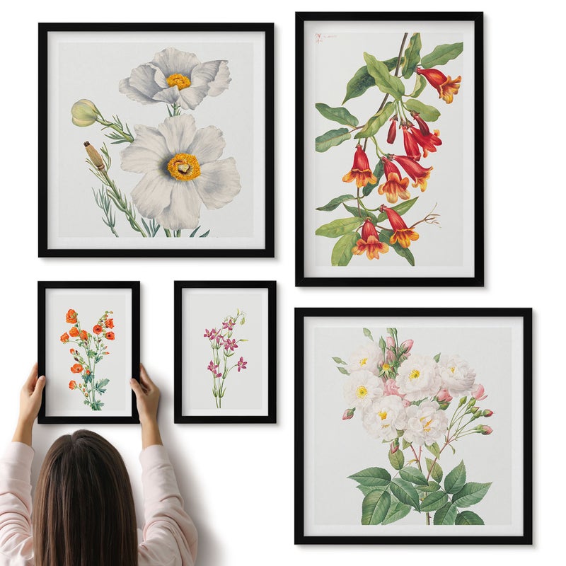 Galeria ścienna 5-częściowy komplet obrazów w czarnych ramach - Kwiatowe ilustracje w stylu botanicznym na białym tle - ArtPrintCave