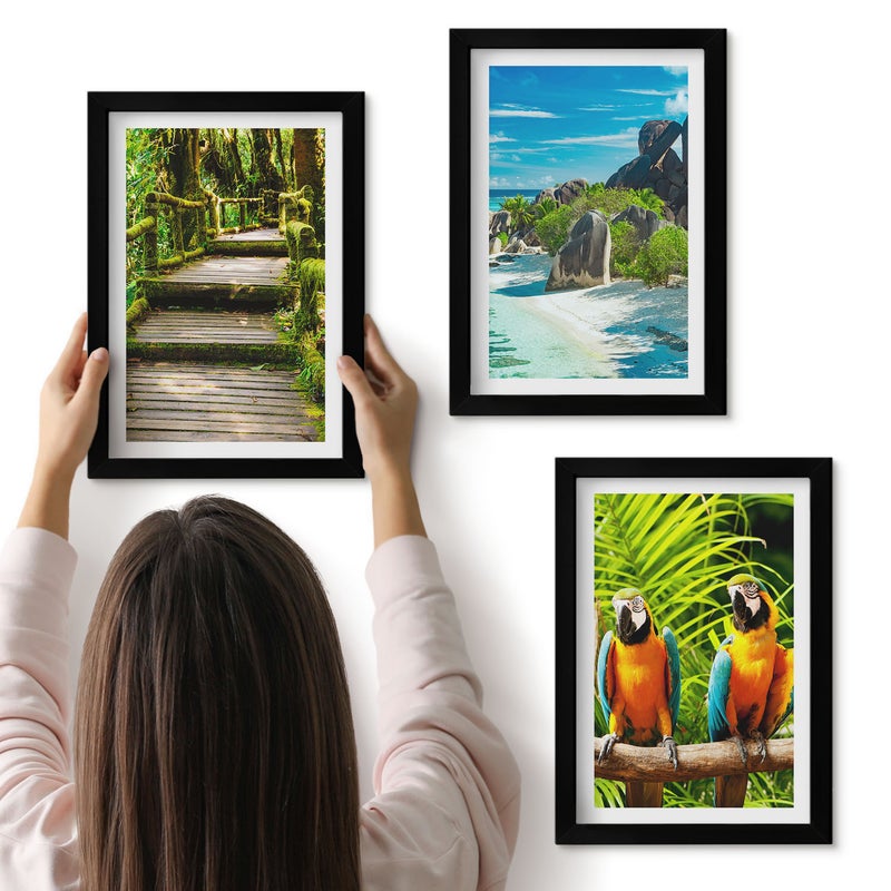 Galeria ścienna 3-częściowy komplet obrazów w czarnych ramach - Tropikalny las z wodospadem i kolorowe papugi - ArtPrintCave