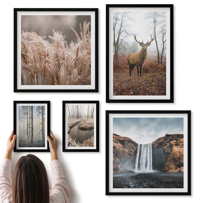 Galeria ścienna 5-częściowy komplet obrazów w czarnych ramach - Naturalne krajobrazy dzikiej przyrody z leśnymi zwierzętami - ArtPrintCave