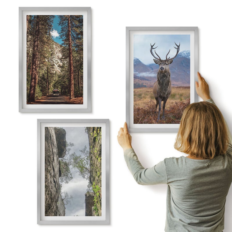 Galeria ścienna 3-częściowy komplet obrazów w srebrnych ramach - Droga w lesie góry i jeleń w naturze - ArtPrintCave