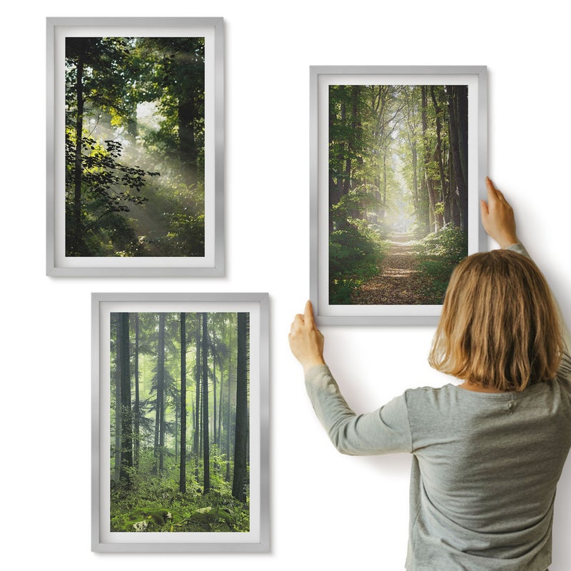Galeria ścienna 3-częściowy komplet obrazów w srebrnych ramach - Zielone lasy z promieniami światła i leśną ścieżką - ArtPrintCave