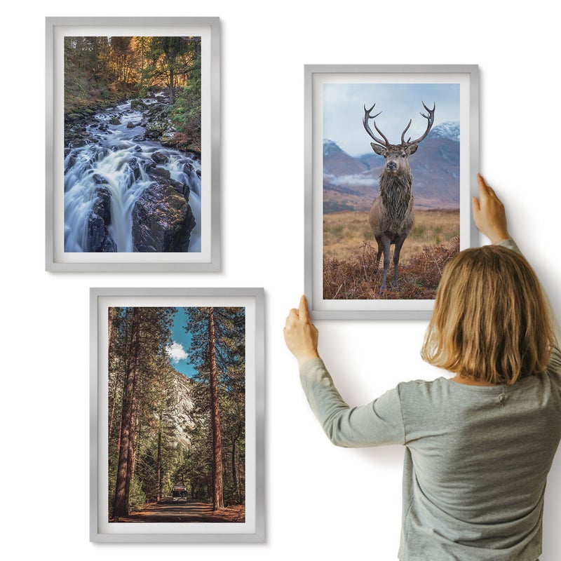 Galeria ścienna 3-częściowy komplet obrazów w srebrnych ramach - Wodospad w lesie góry i jeleń w naturze - ArtPrintCave