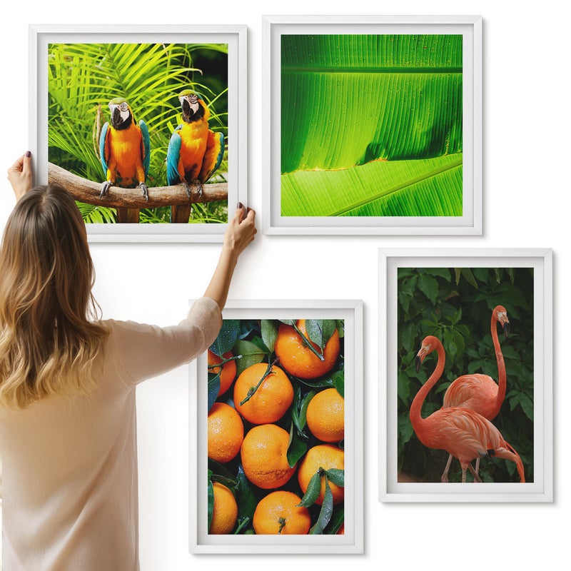 Galeria ścienna 4-częściowy komplet obrazów w białych ramach - Owocowe akcenty z papugami i flamingami w tropikach - ArtPrintCave
