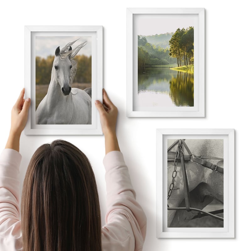 Galeria ścienna 3-częściowy komplet obrazów w białych ramach - Białe konie nad rzeką krajobraz natury - ArtPrintCave