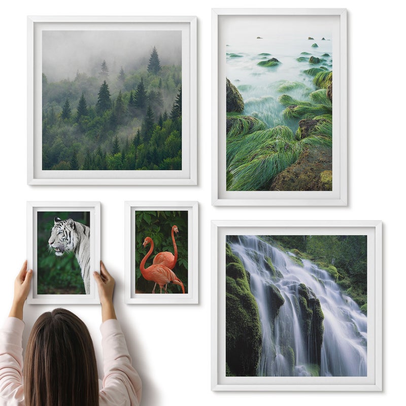 Galeria ścienna 5-częściowy komplet obrazów w białych ramach - Przyroda w różnych odsłonach z dzikimi zwierzętami i krajobrazami - ArtPrintCave