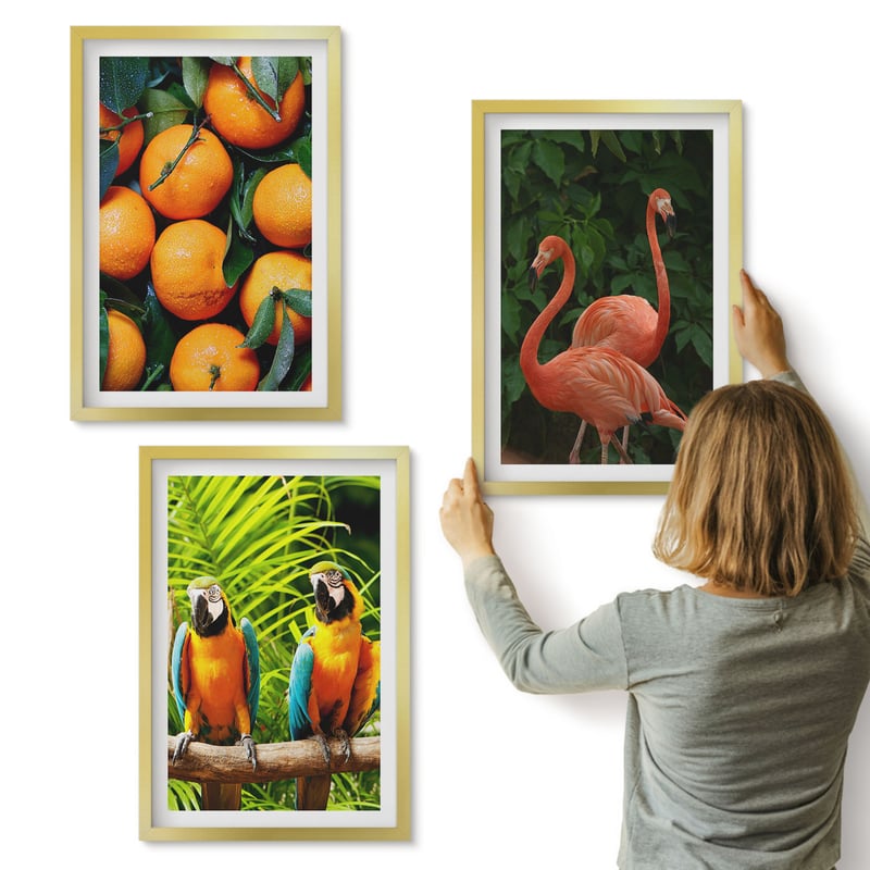 Galeria ścienna 3-częściowy komplet obrazów w złotych ramach - Owocowe akcenty z papugami i flamingami w tropikach - ArtPrintCave