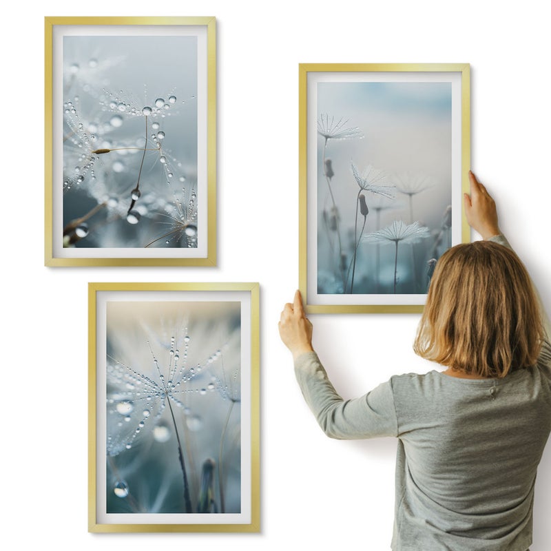 Galeria ścienna 3-częściowy komplet obrazów w złotych ramach - Krople rosy na delikatnych dmuchawcach - ArtPrintCave