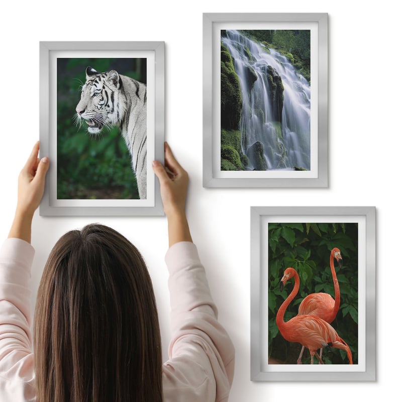 Galeria ścienna 3-częściowy komplet obrazów w srebrnych ramach - Tygrys wodospad i różowe flamingi w naturze - ArtPrintCave